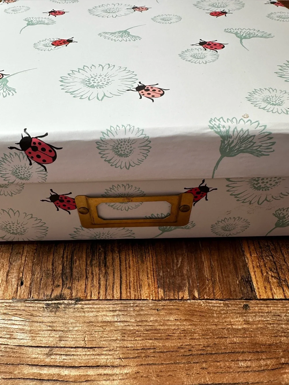 Decorative Ladybug Floral Storage Box in White and Pink